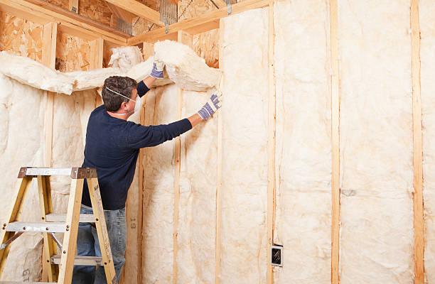 Best Garage Insulation in Memphis, FL