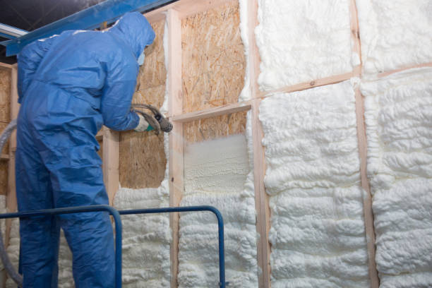 Best Attic Insulation Installation in Memphis, FL